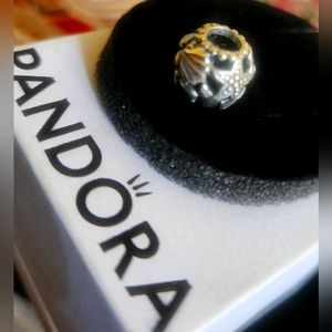 Pandora Seashells and Hearts  Charm